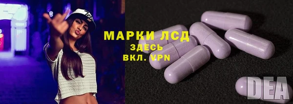 скорость Ельня