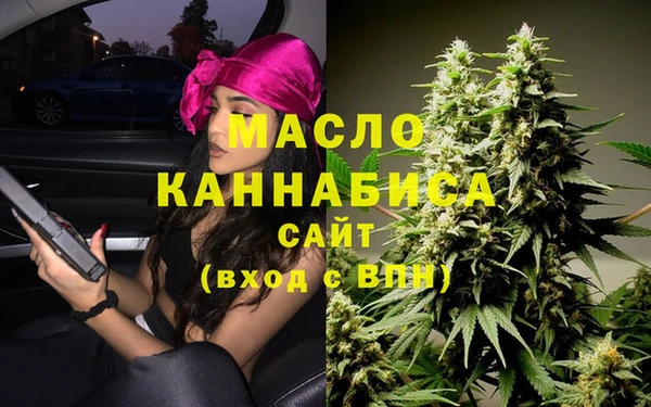 скорость Ельня