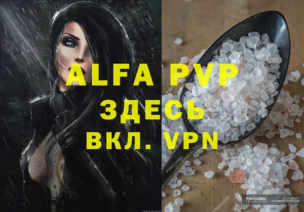 стафф Елизово