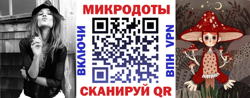 Купить  Опочка  Галлюциногенные грибы Psilocybine cubensis 